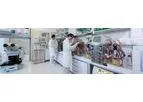 AGC Biologics - Plasmid DNA Cell