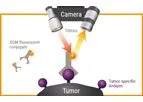 SurgiMab - Intraoperative Detection Technology of Tumors