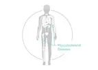 osteomiR - microRNA Biomarkers Kit of Bone Quality