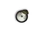 Implantable Drug Delivery