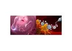 Theramx - Drug Delivery Platform Technology Based on Nano-bio Materials