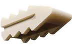 Entrus - Model Graft-AB - Allograft Bone