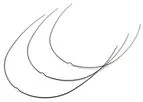 Acme-Monaco - Contemporary Archwires