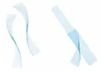 Vertessa - Model Lite - Polypropylene Mesh for Sacrocolpopexy