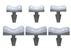 BioPoly - Partial Resurfacing Trochlea Implant
