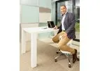 Moveoseat Premium - Office Chair