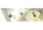 Acuitas - mRNA Therapeutics Technology
