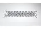 CASPER - Carotid Stent