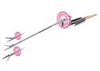 Evans & Reid - Rotatable Endoscopic and Cranial Neurosurgical Instruments