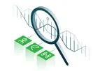 CRISPR-Based Detection Platform