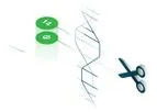 Therapeutic Cures Through CRISPR-Based Precision Editing