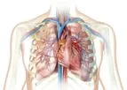 LightDeck - Cardiac Markers
