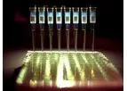Kephera - Rapid Testing Tools for Infectious Diseases using Novel Immunochemistry