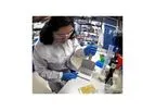 Kephera - Diagnostic Testing Tools for Lyme Disease