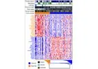 GeneCentric - Pancreatic Cancer Subtype Profiler (PurIST)