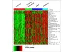 GeneCentric - Bladder Cancer Subtype Profiler (BCSP)