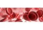 Model Clo-Sur P.A.D - Biopolymer-based Promotes Hemostasis