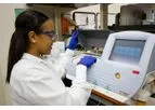 Cancer Genomics