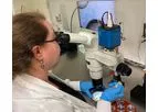 In Vitro Fertilization (IVF) Process