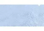 FuseChoice - Single Layer Amniotic Membrane
