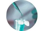 Immunethep - Anti-Bacterial Immunotherapy