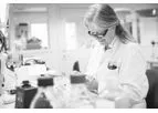 Research & Development Services