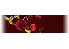 Chimigen - Flexible Platform Vaccine Technology