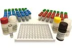 Biopanda - Model ELIFN-HTB-001 - Tuberculosis Kit