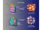 Sumitomo - Model TP-1454 - Investigational Oral Pyruvate Kinase M2 Isoform (PKM2) Activator
