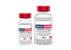 Alfaxan Multidose - Intravenous Injectable Anesthetic