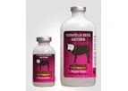Maxi/Guard - Pinkeye Bacterin