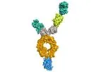 Onegene Biotechnology - Multi-Target Therapeutics