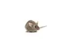 Model MARK-1 - IgG1 kappa Mouse Anti-Rat Kappa Light Chain