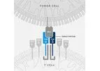 T-Cure - Receptor Therapy T Cell