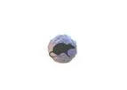 InSphero 3D InSight - Rat Islet Microtissues