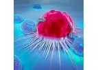 IN8Bio DeltEx - Gamma-Delta T Cells
