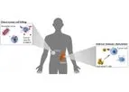 Oncolytic Virotherapy