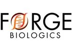 Plasmid DNA Manufacturing Services
