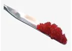 Activioss - Synthetic and Bioactive Bone Graft Substitute Granules Membrane