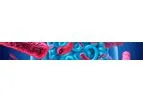 Destiny Pharma - Model NTCD-M3 - Clostridioides Difficile Programme