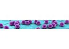 Destiny Pharma - Model XF-73 - Nasal for Post Surgical Infections