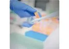 Clinical Development Services
