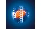 Myrian - Version XP-Liver & XP-Liver MRI - Optimize Multi-Modality Oncology Software