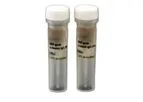 HRP-Conjugated Secondary Antibodies