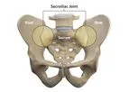 Alevio - Sacroiliac Joint
