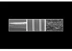 Model DUOTex - Dental Coatings