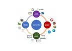 Karyosoft - Version Variants - Software for Mutation Discovery Made Easy