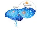 ni2o - Model KIWI - Kinetic Intelligent Wireless Implant