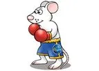 Ozgene - Knockout Mice Service