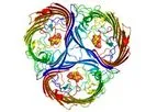 Cyrus - Protein Design Service